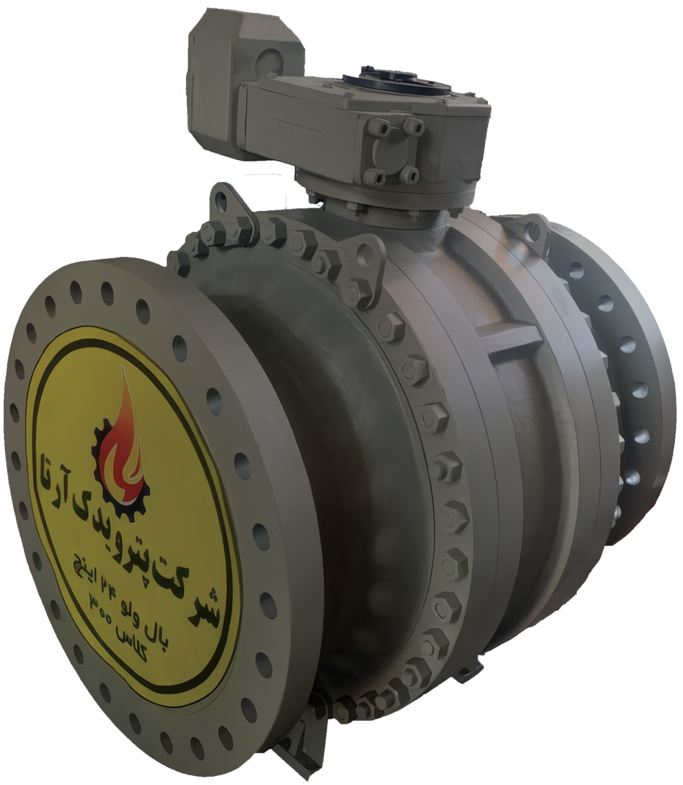 Petroyadak Valve